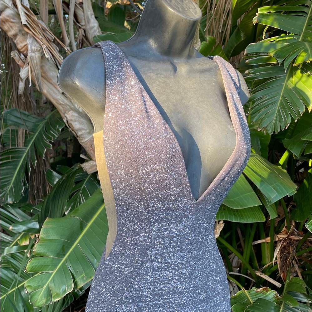 Silver deep cut mesh insert formal gown